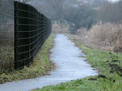 Fence on a grey day EXPLORED!