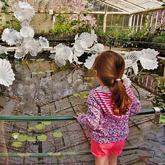 Ethereal White Persian Pond, CHIHULY 'Reflections on Nature' Sculptures Exhibition at Waterlily House, Royal Botanic Gardens, Kew @ 22 April 2019