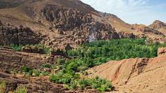 Curiose forme rocciose verso le Gole del Dades - Curious rock shapes towards the Dades Gorges