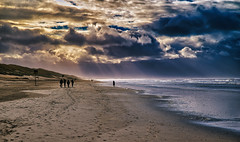 Northsea beach walk