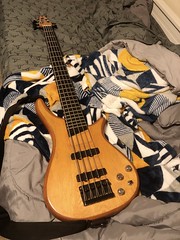 Bass in bed