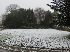 Snow on the flower beds at Kings Heath Park