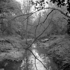 Third Fork Creek