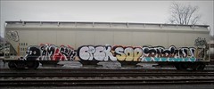 damsr - cpck - sodme - radical