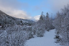 Matin d'hiver en vallée de la Rouanne.