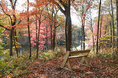 Bench at Horseshoe Lake - HBW! - Explored