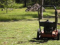 P3212670 - Admiring the work done by Victoria the mowbeast aka my Victa 600 slasher mower