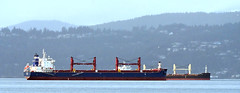 Empty bulk carriers at anchor