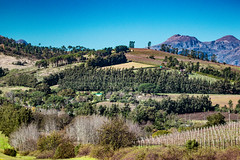 Stellenbosch, Cape, South Africa