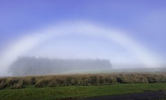 Fogbow