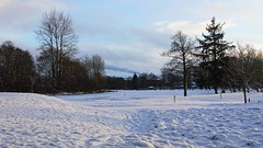 Snowcovered field