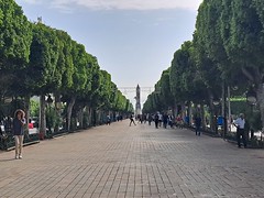 Avenue Habib-Bourguiba, Tunis, Tunisia