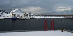 Winter in the harbour