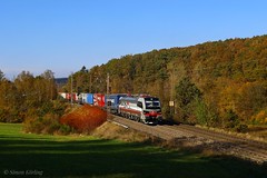 SBB Vectron im schönen Herbstwald