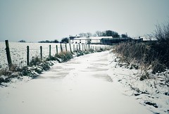 Farm in the snow