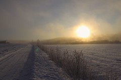 Hard frost with mist