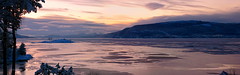 The Osterfjord from my house on Jan 04, 2025 (afternoon)