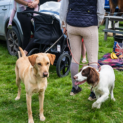 Otley Agricultural Show 009