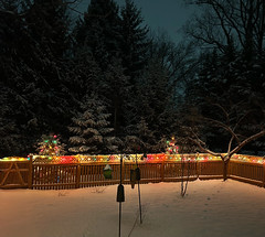 Snowy backyard