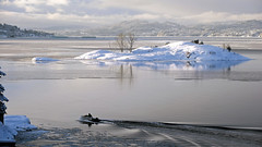 Fjellskålholmen on Jan 04, 2025 (afternoon)