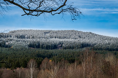 Bohemian Forest in the Czech Republic - 0059