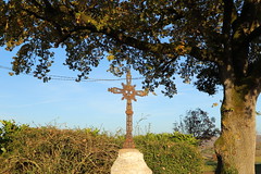 Le vieux chêne et la vieille croix