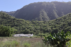 Exploitation agricole au pied du massif du Dimitile