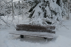 take a seat and enjoy the winter!