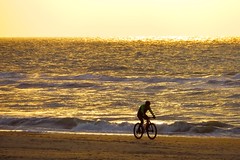 The lonely cyclist