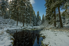 Winter von seiner schönsten Seite