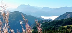 11.01.24. Panorama depuis me Mont Caly (France)