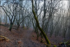 Aufstieg zum Horaberg (Lipská hora) bei Lhotta (Lhota)