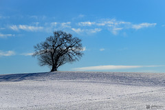 Windows XP winter edition - Explored 14.01.2025