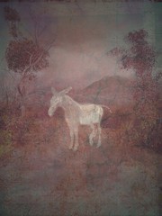 red landscape with ghost donkey