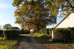 Rue du curé Jean-Pierre Dauriac (Préneron)