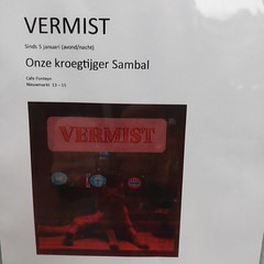 Vermist onze kroegtijger Sambal