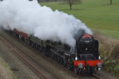 46100 Royal Scot, seen as it is about to pass beneath Alpraham-Bunbury road bridge 130125_DSC7593