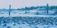 little sand hills