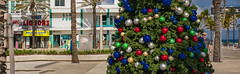 Las Olas Oceanside Park with Christmas vibes on a sandy environment :-) Fort Lauderdale, USA. Trip to Florida, winter season 2024/25