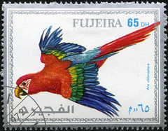 Fujeira 65 dirham Red-and-Green Macaw postage stamp (1972)