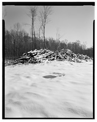 Stacked Trees in the Snow