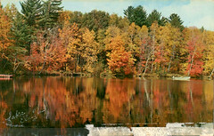 Lake Eliza Deer Ranch, 1956 - Valparaiso, Indiana