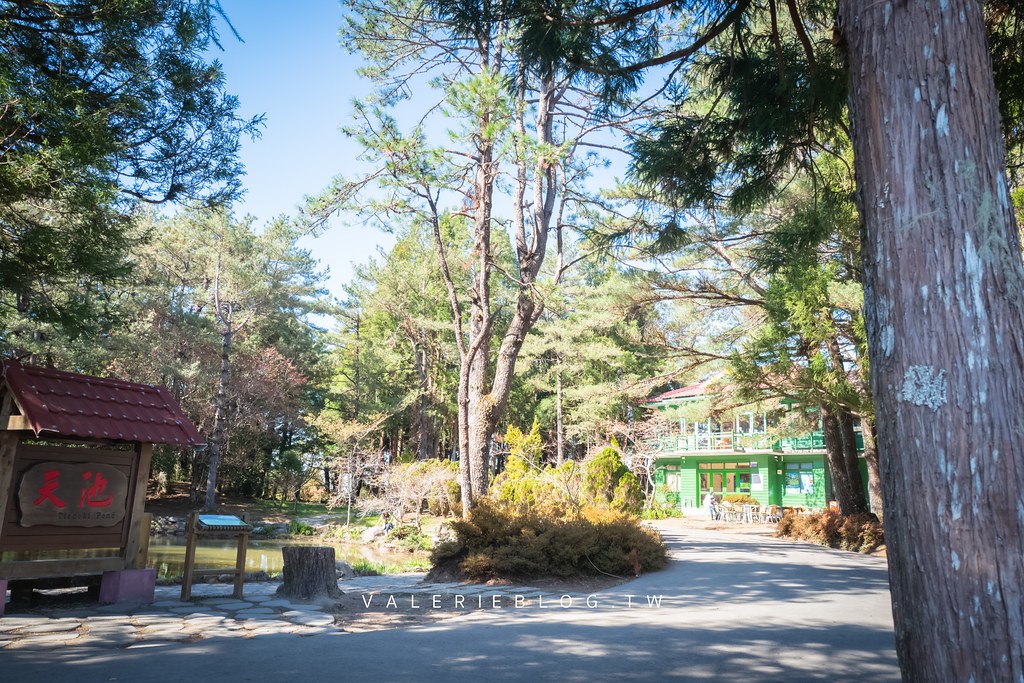 天池咖啡,福壽山天池,福壽山天池咖啡,福壽山景點,福壽山農場,蔣公行館,達觀亭,高山咖啡 @薇樂莉 - 旅行.生活.攝影