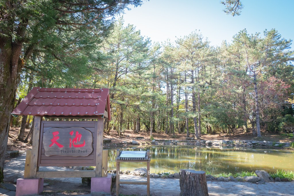 天池咖啡,福壽山天池,福壽山天池咖啡,福壽山景點,福壽山農場,蔣公行館,達觀亭,高山咖啡 @薇樂莉 - 旅行.生活.攝影