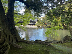 Japanese garden