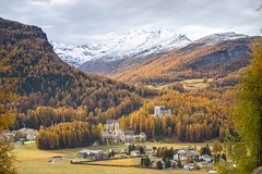 Autumn in Sils - Hiking from Silvaplana to Maloja