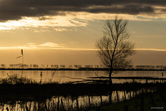 Along the Haringvliet | Entlang des Haringvliet • Explore •