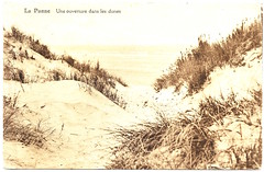 La Panne - Une Ouverture Dans Les Dunes Prior to 1944. And Life and Death in Auschwitz Concentration Camp.