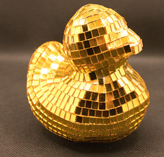 1 (30) austria golden rubber duck