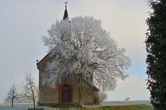 Rosary Chapel and its tree - explored Jan 17, 2025